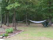 Hammocks at Mountain Thyme